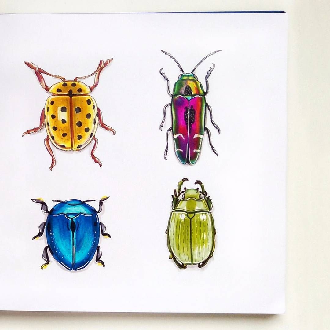 Жук Грин цвета