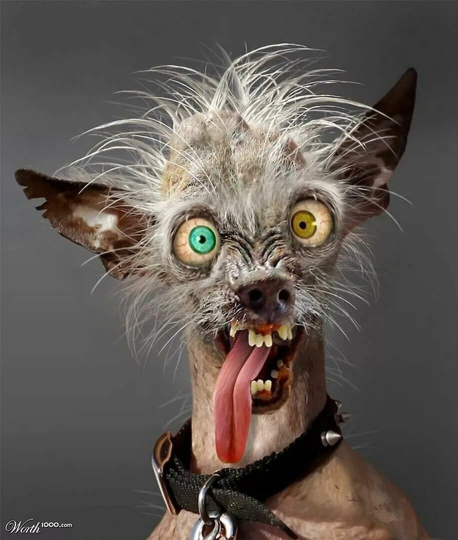 Пораньше с работы