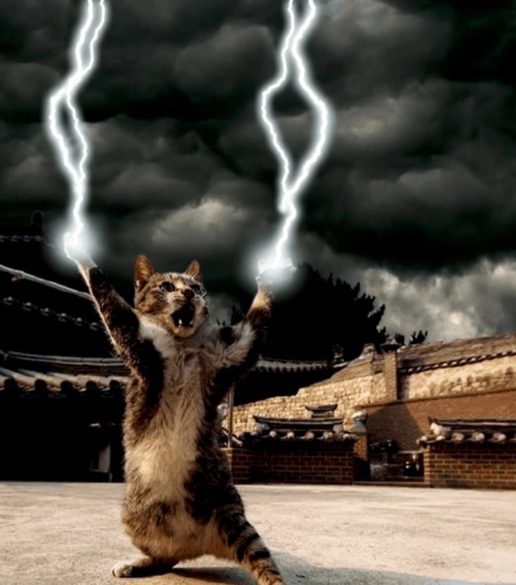 Кот и гроза