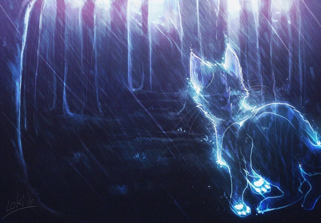 Коты Воители Звёздное племя