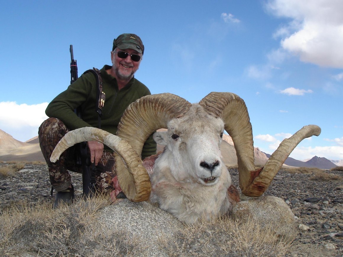 Горный баран Марко поло