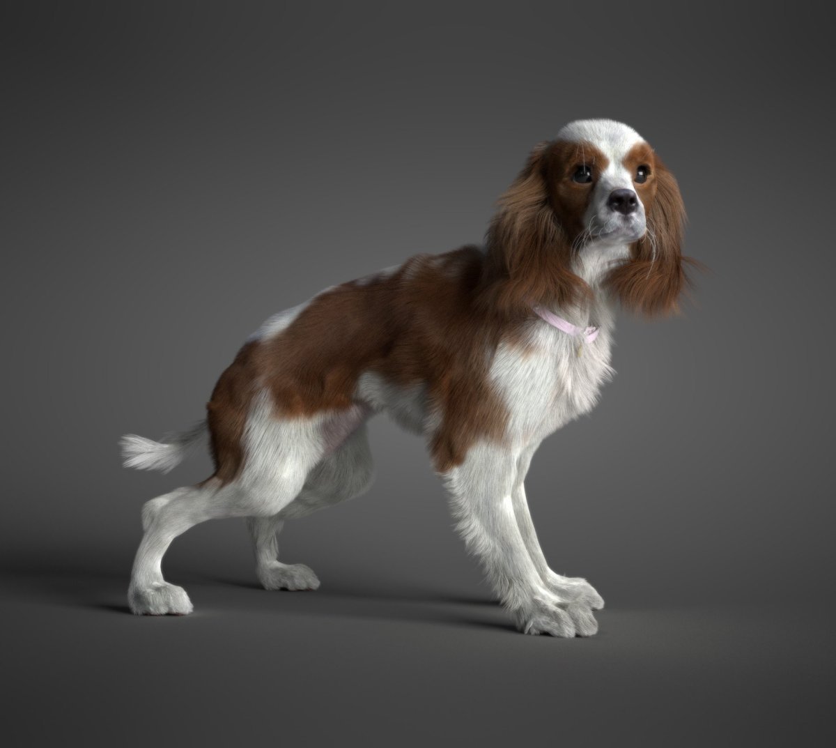 Ёлки лохматые Йоко