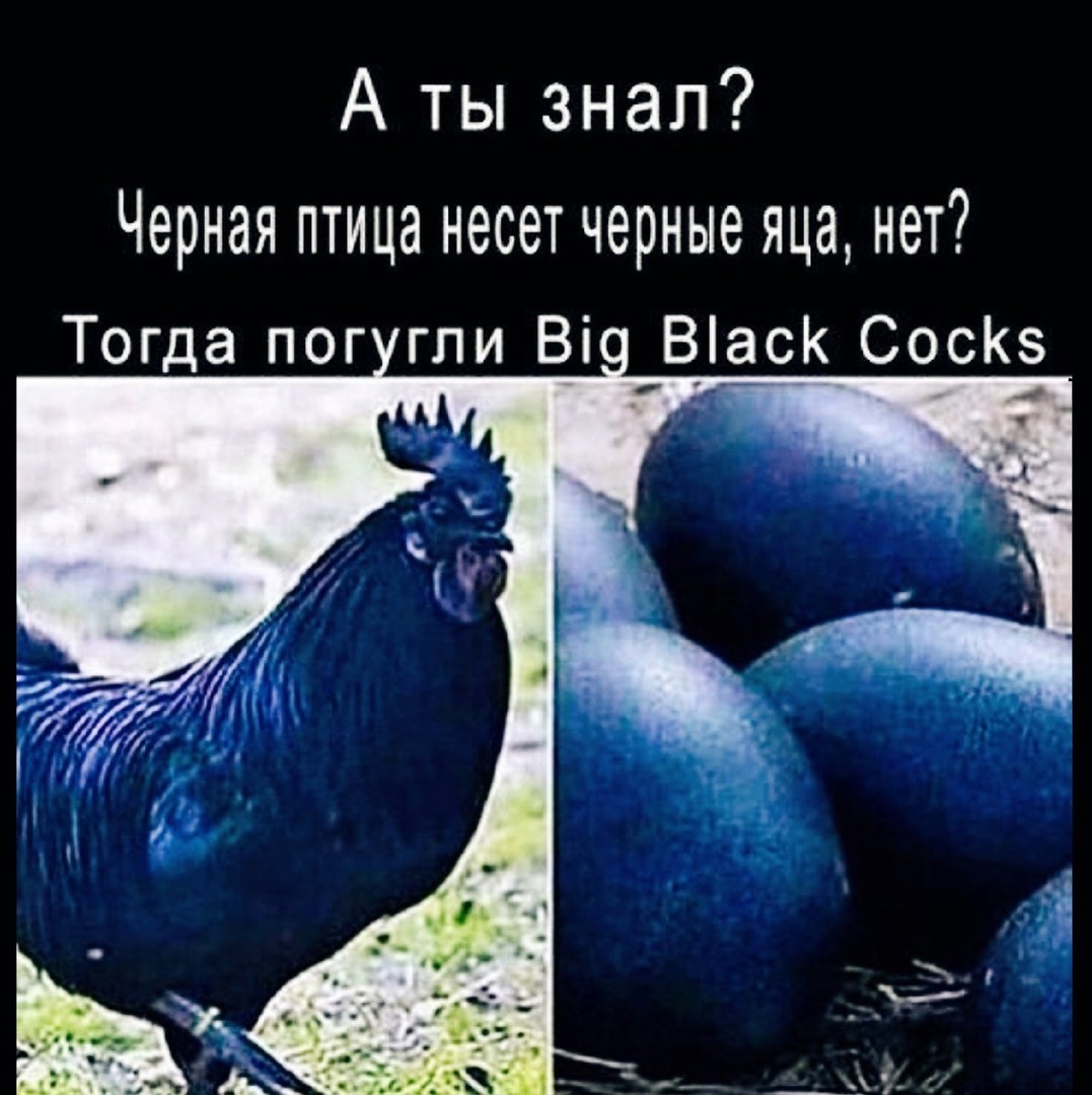 Тушка птицы