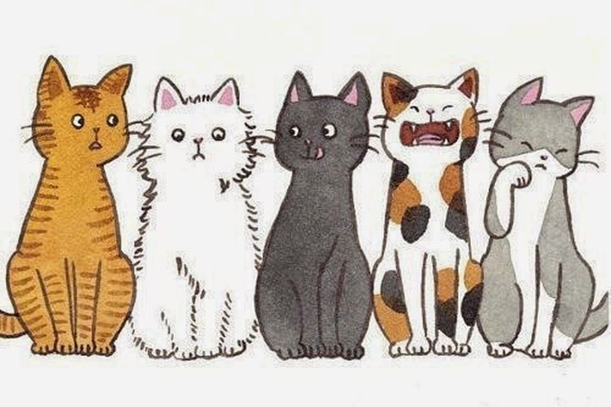 Кошки разных цветов