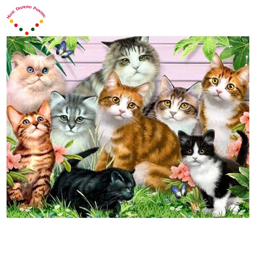 Фотообои котята