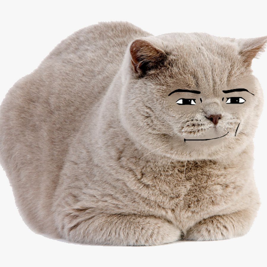 Британцы фолд и страйт