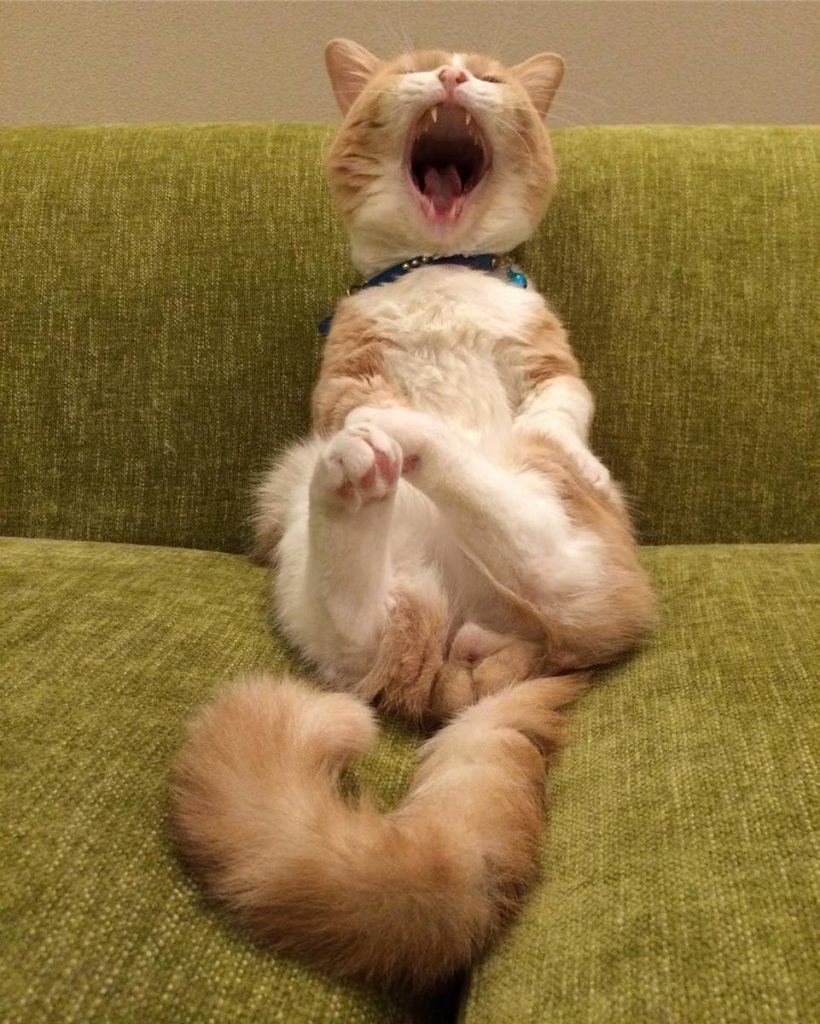 Пять минут полет нормальный