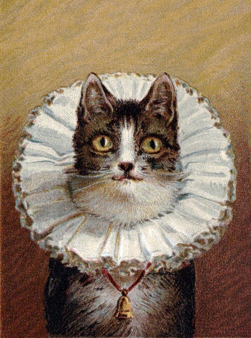 Винтажные котики