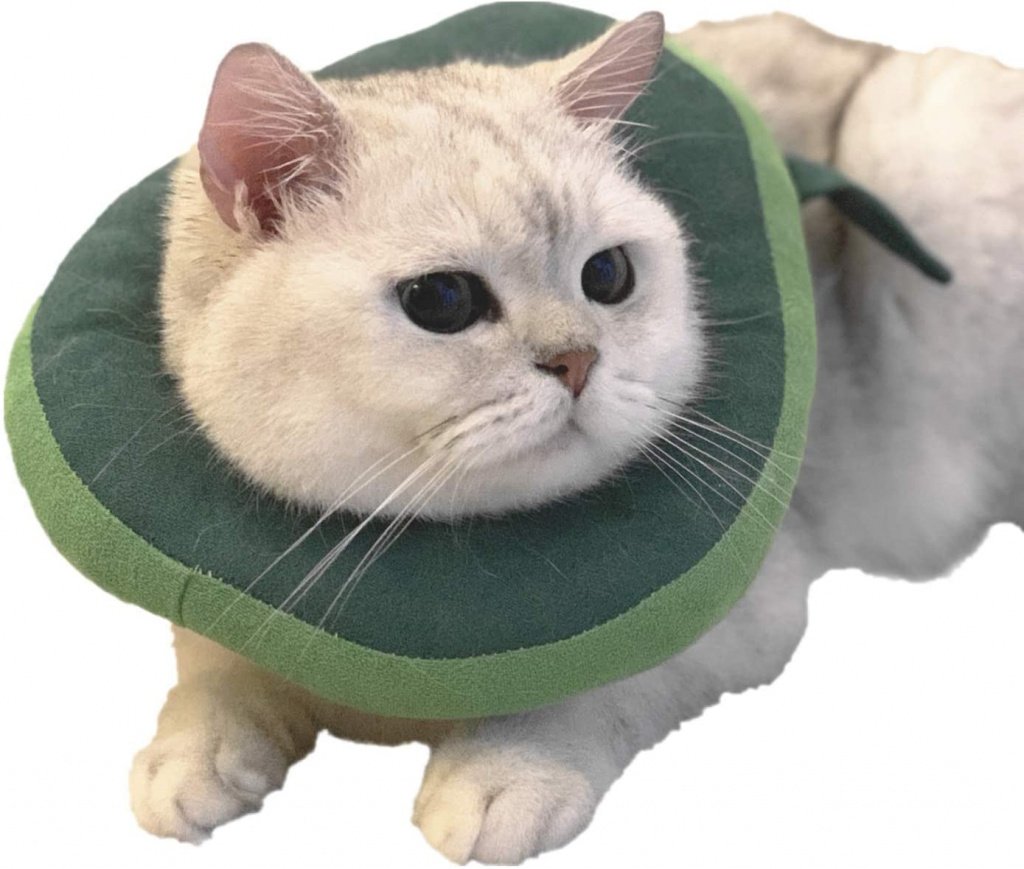Мягкий воротник для кошек