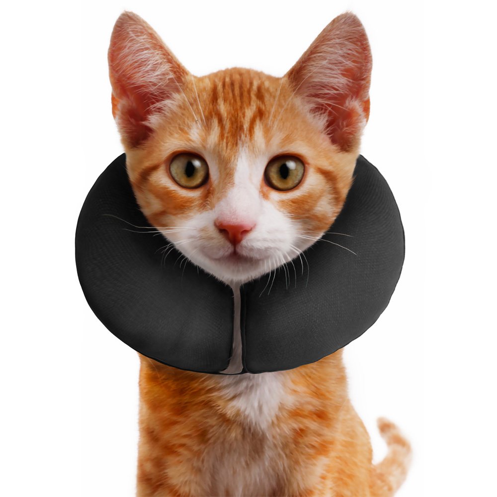 Защитный воротник для кошек