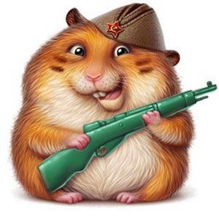 Хомяк Гусар