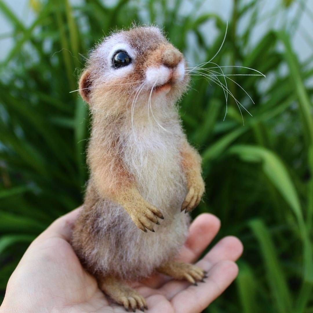 Милые зверюшки Юлии Деревщиковой сухое