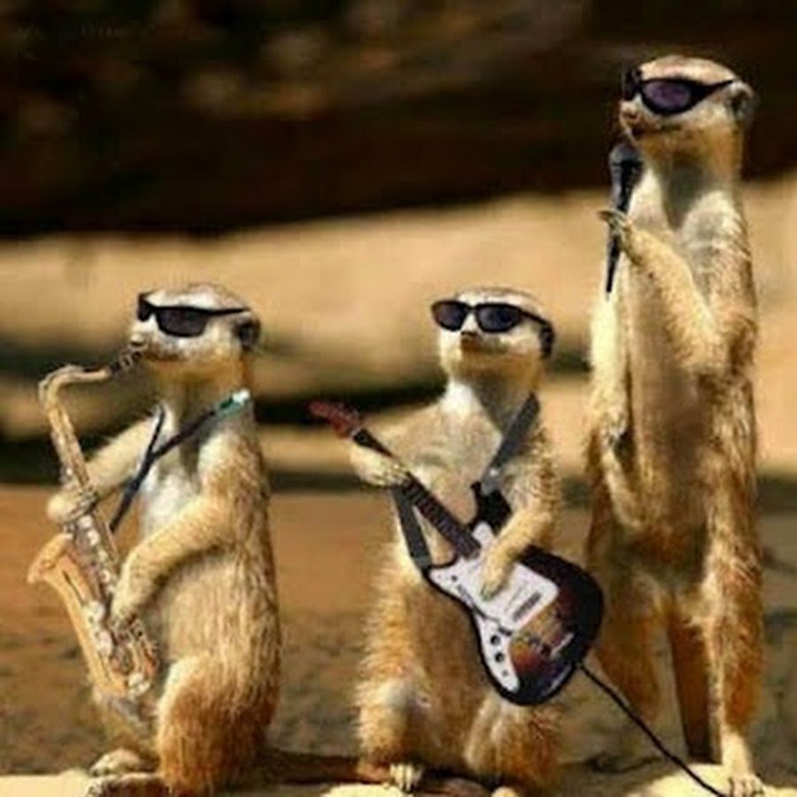 С днём рождения суслик