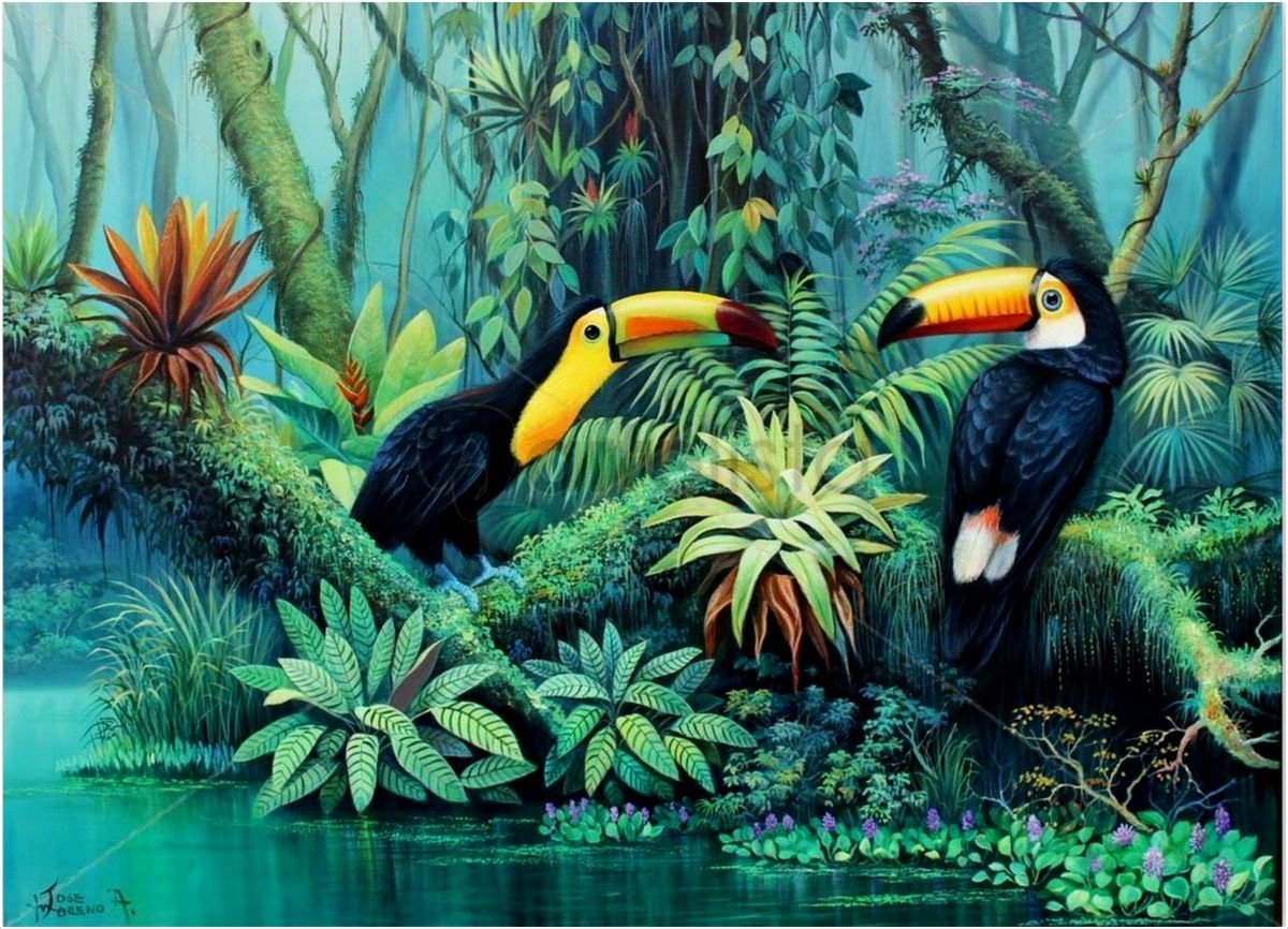 Рио Найджел