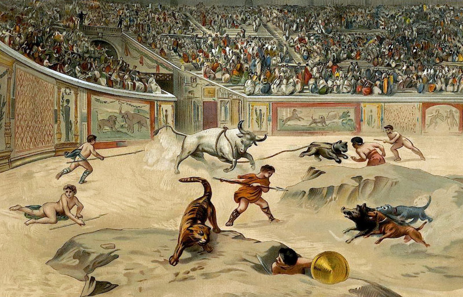 Наблюдать за зрелищем. Колизей в Риме бой Быков. Арена гладиаторов в Риме. Гладиаторские бои в древнем Риме с животными. Колизей в древнем Риме гладиаторские бои.