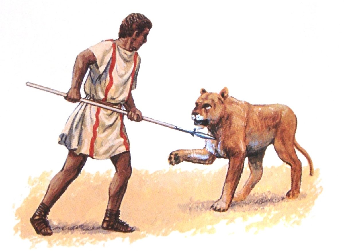 Леопард Виктор Гладиатор