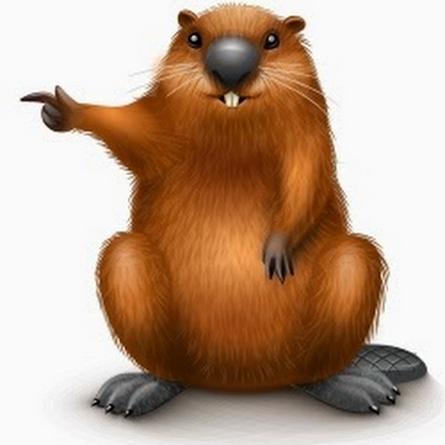 Выдра с выдренком