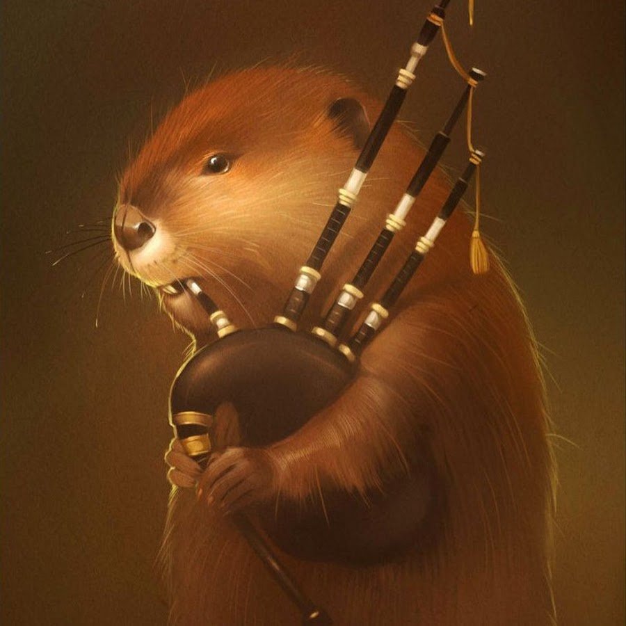 Нутрия и бобер