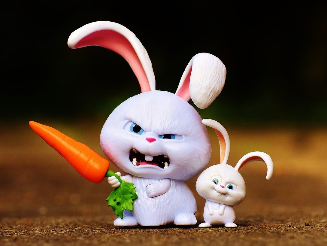 Блэк рэббит