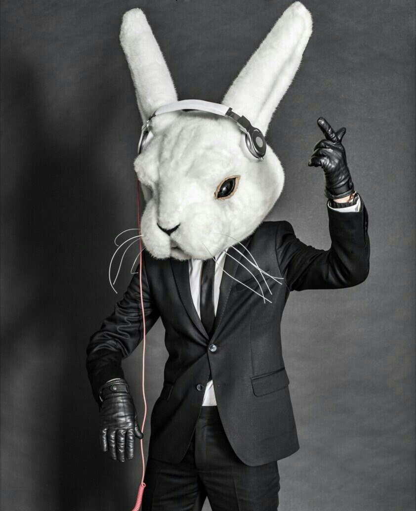 Зарисовка кролика