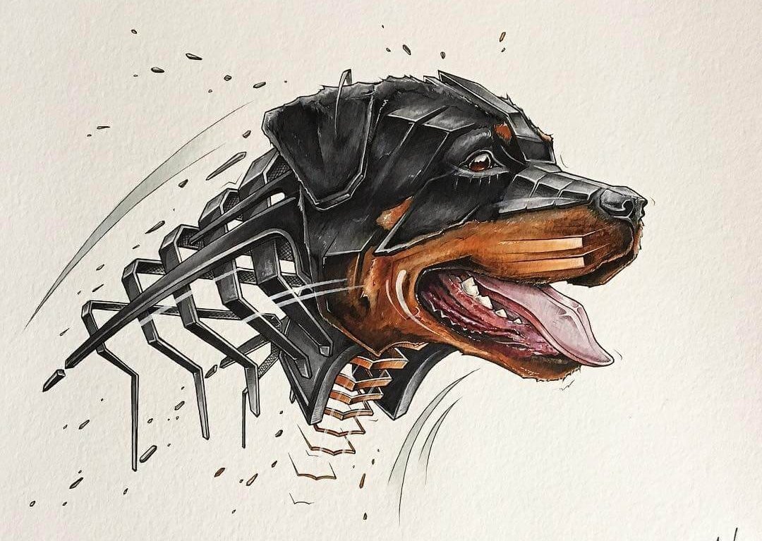 Тату ротвейлер