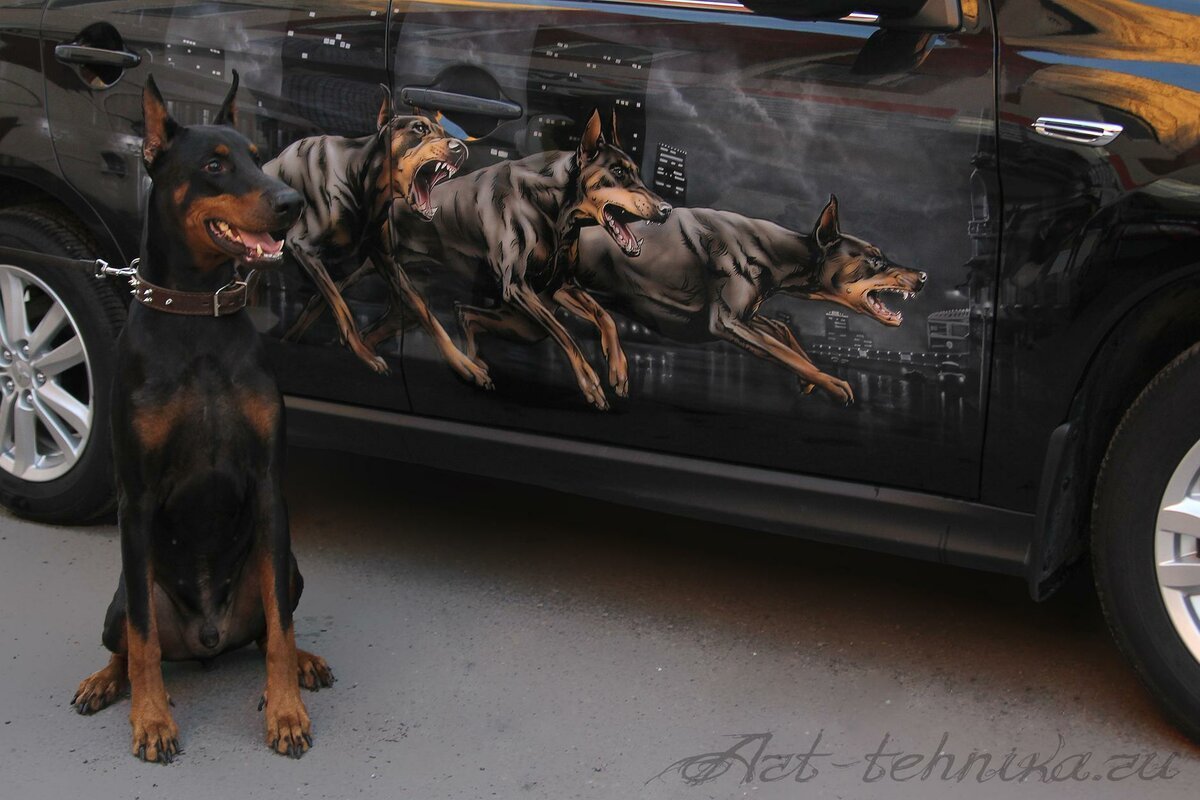 Детейлинг Доберман