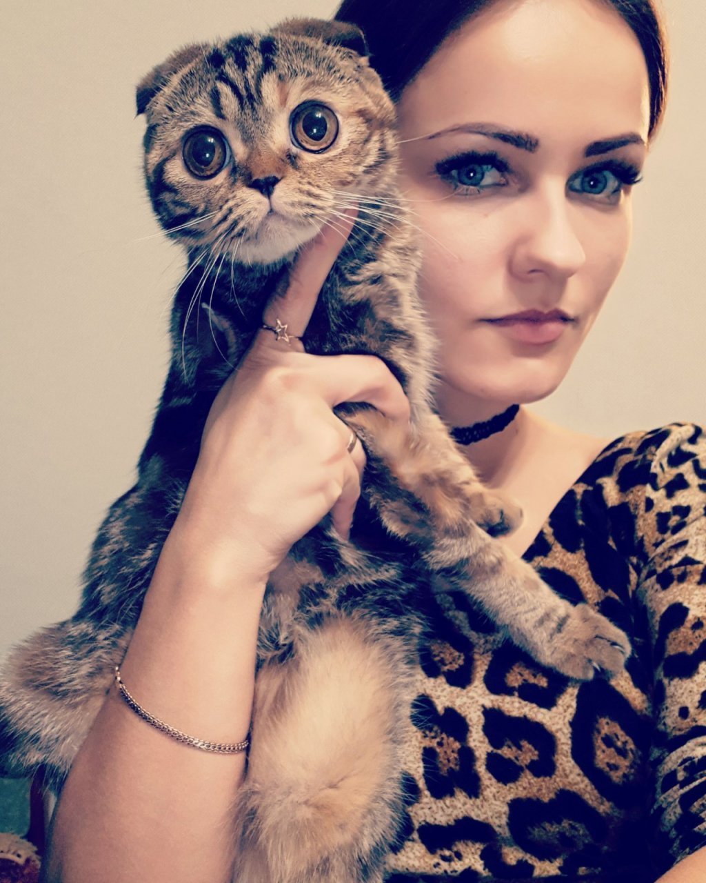 Среднерусская кошка - 72 фото
