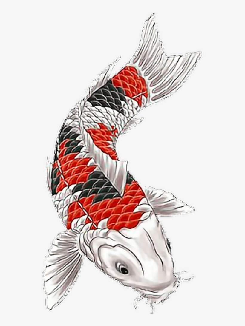 Ирезуми Карп кои