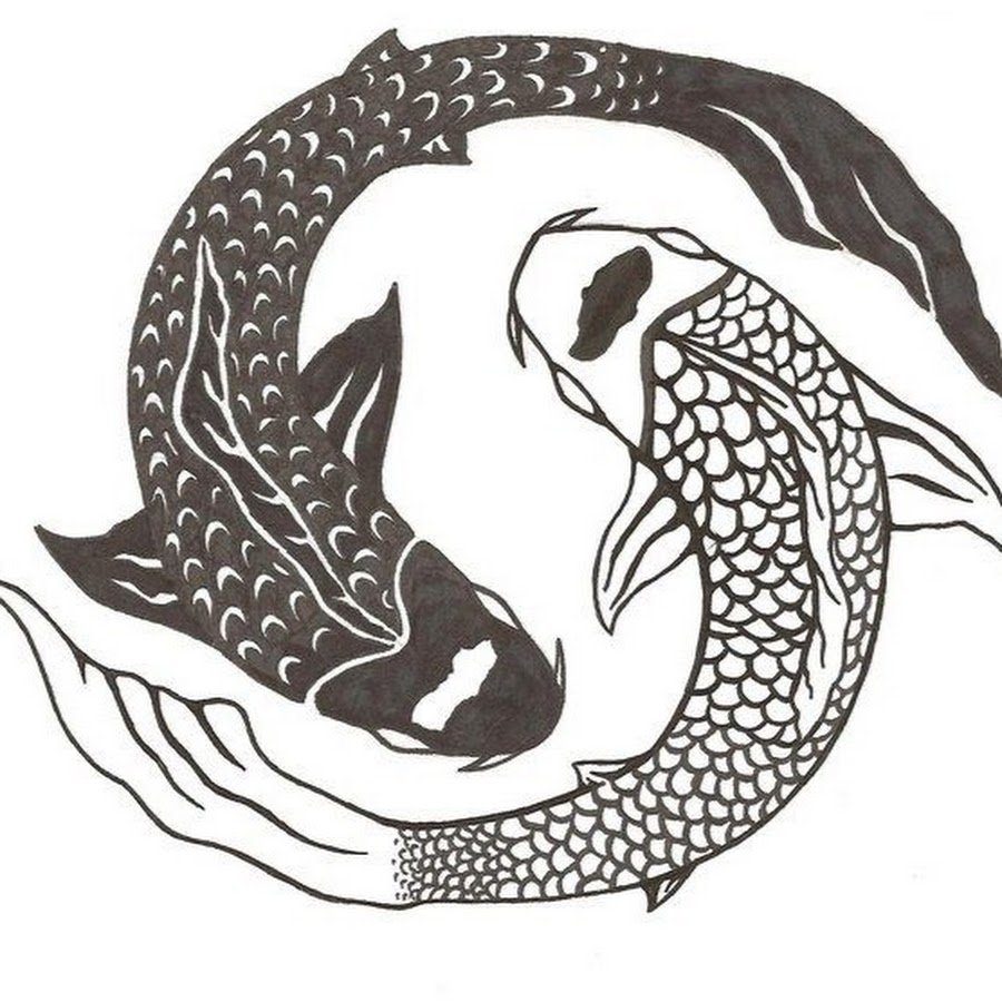 Китайские рыбки Инь Янь