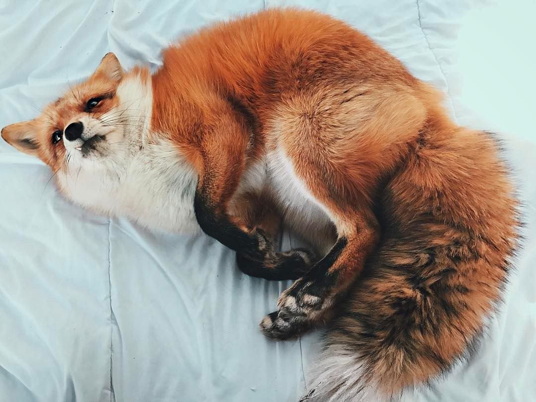 Смешные фотосессии на море