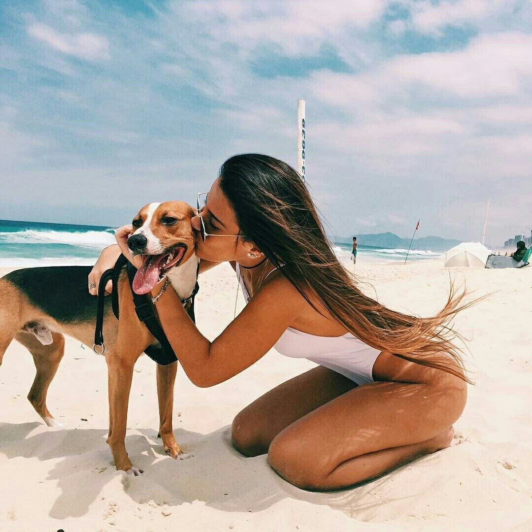 Лиса охотится