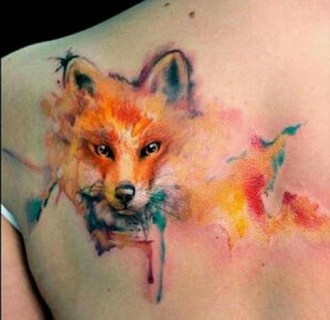 Тюлень на пляже