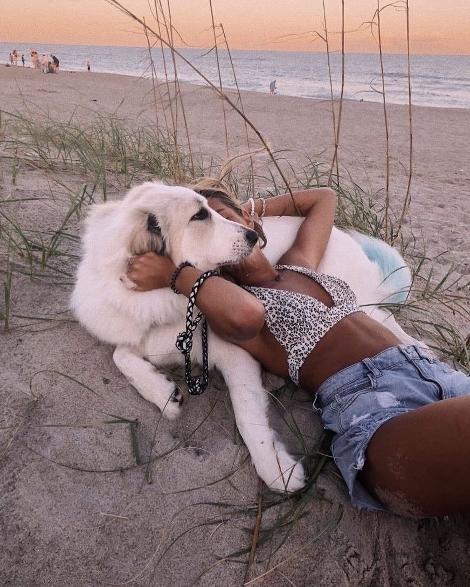 Ежик на пляже