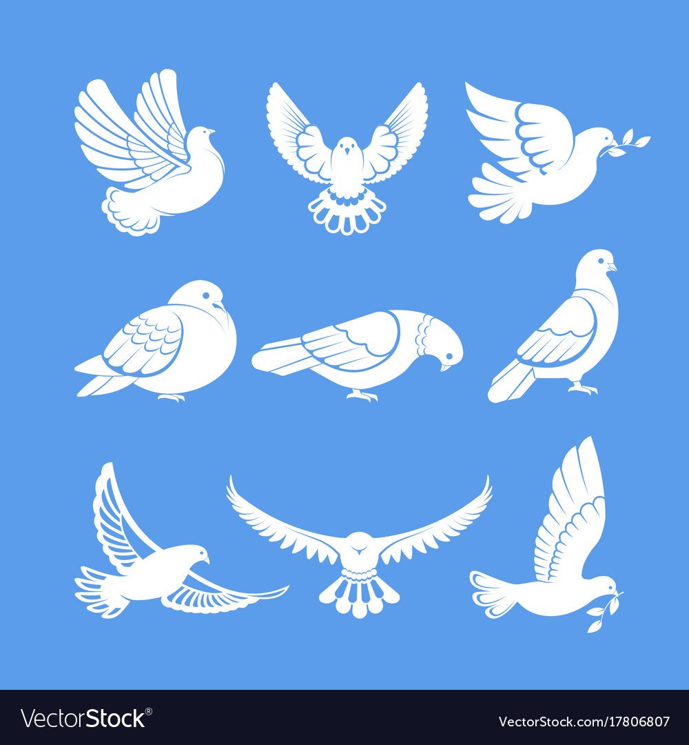 Голубь Векторная Графика