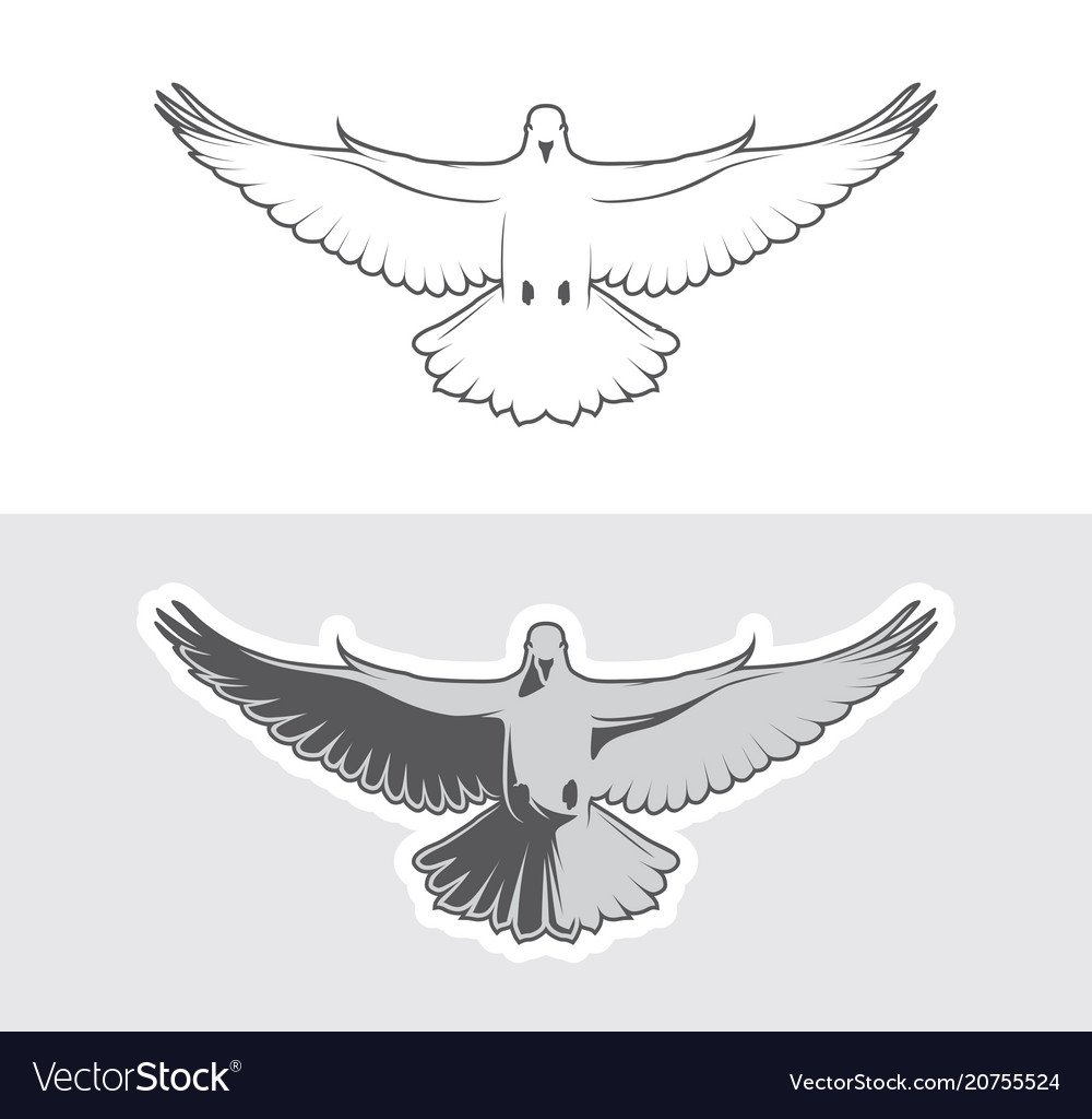 Голубь с распахнутыми крыльями