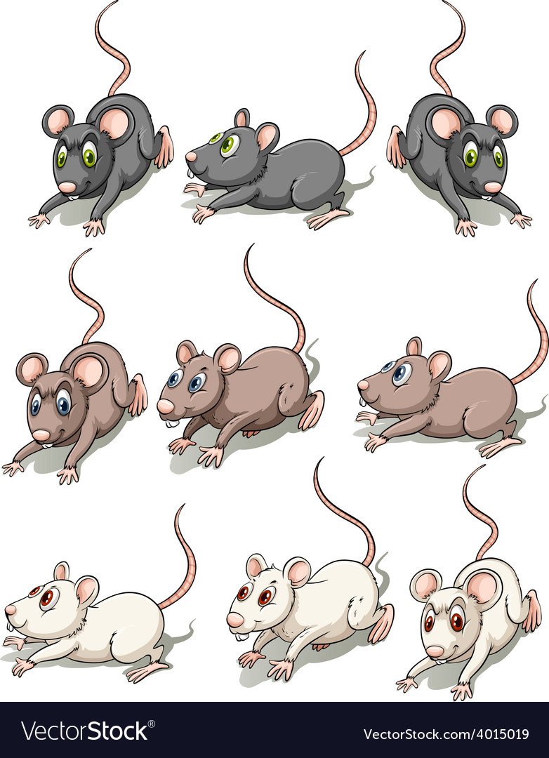 Много мультяшных мышей