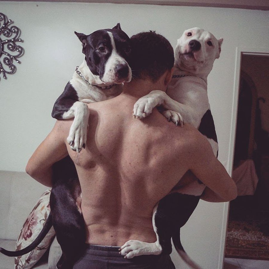 Девушка с собакой Эстетика