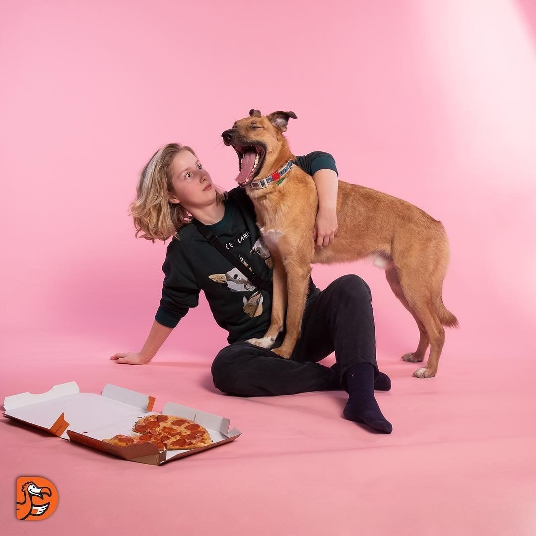 Собака в стон Айленд