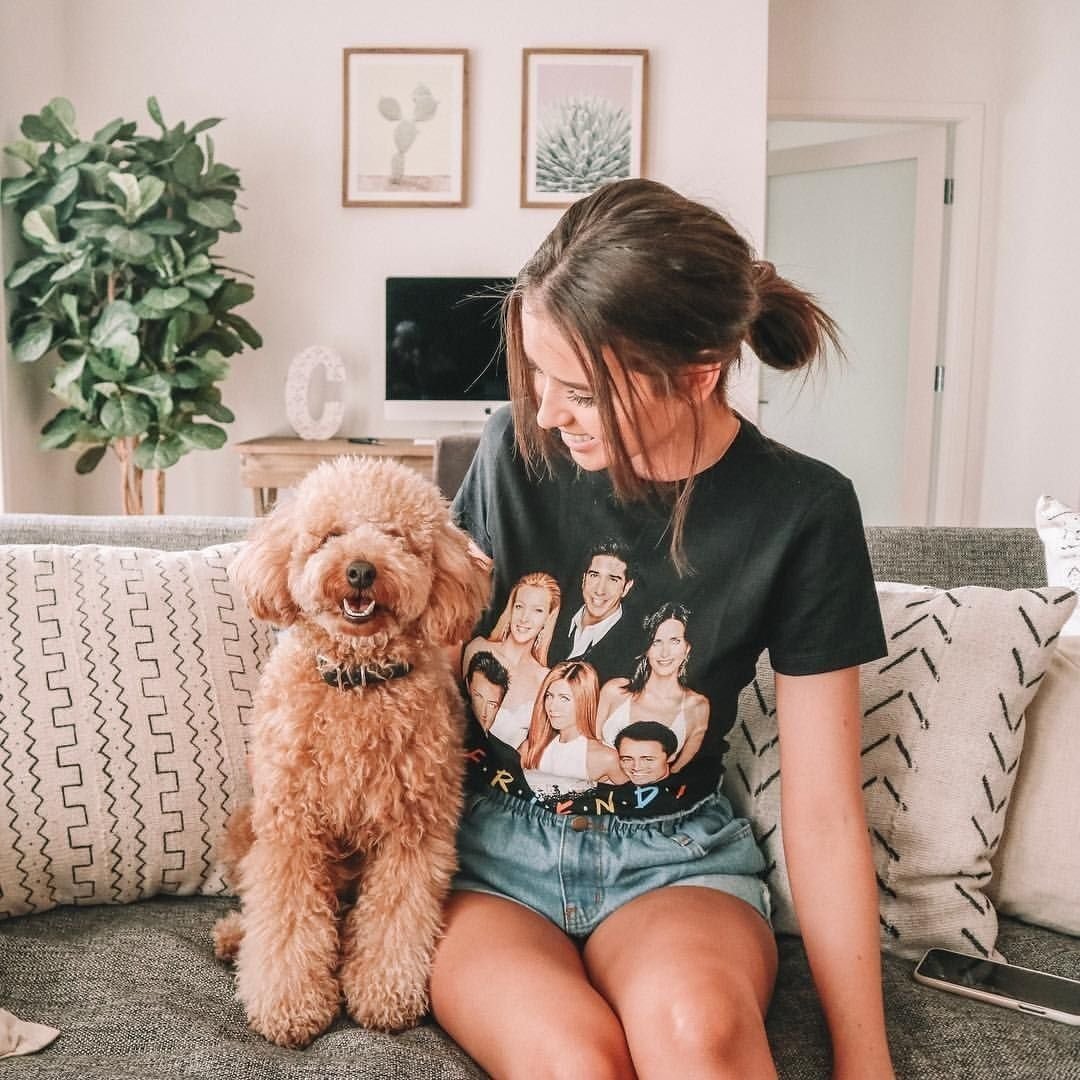 Доберман собака демон