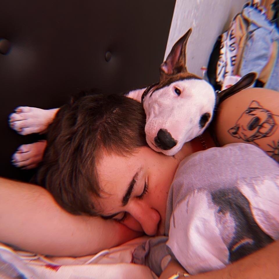 Чехословацкая Волчья