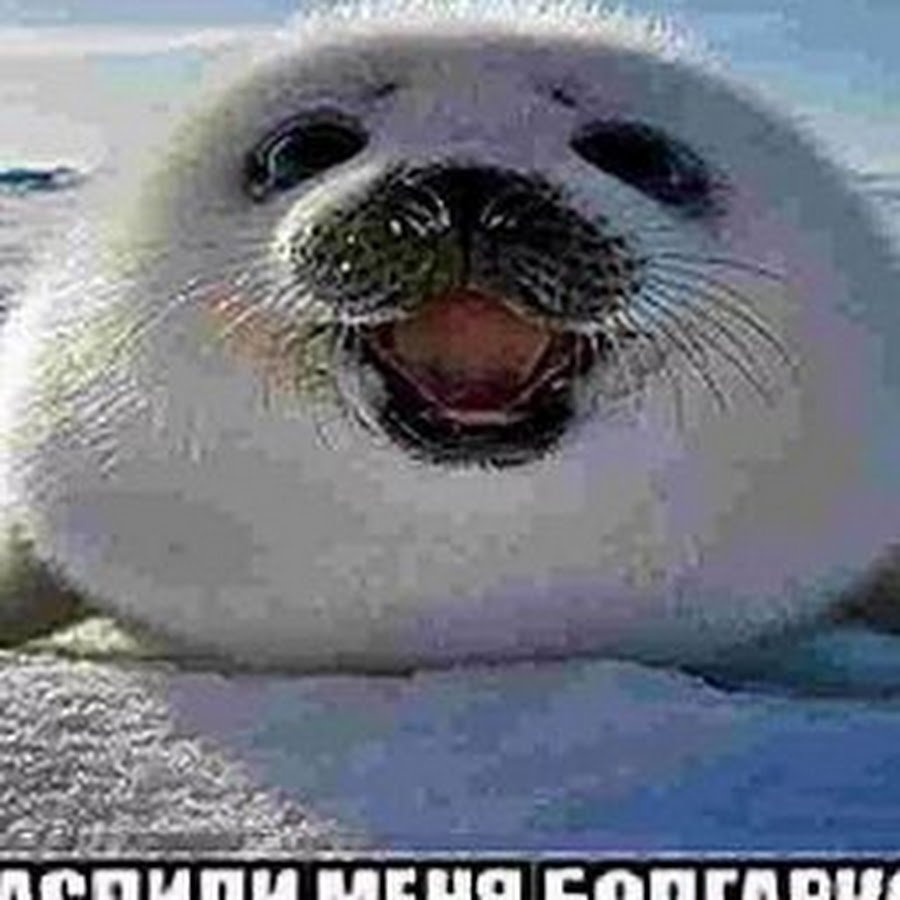 Фотограф Конста Пункка