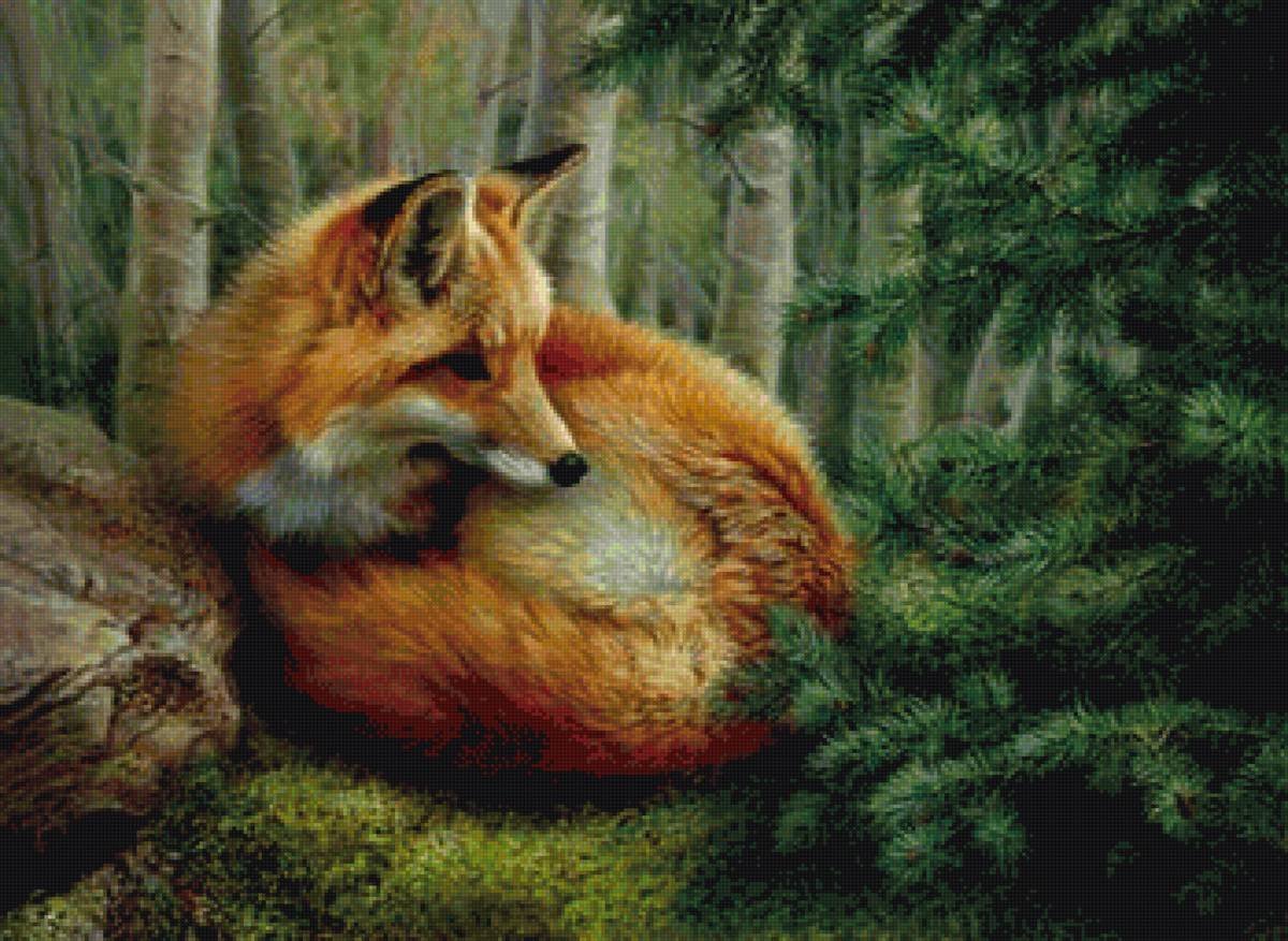 Животные зимой