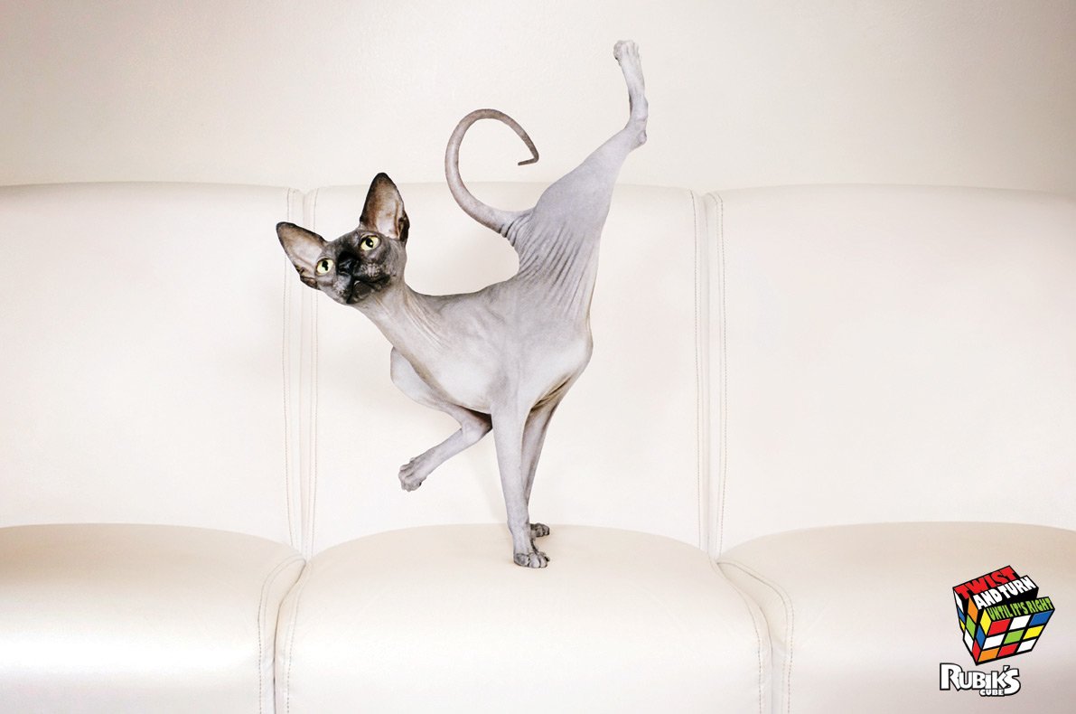 Ура наши победили