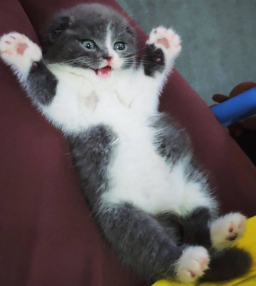 Здоровья вам вот такого