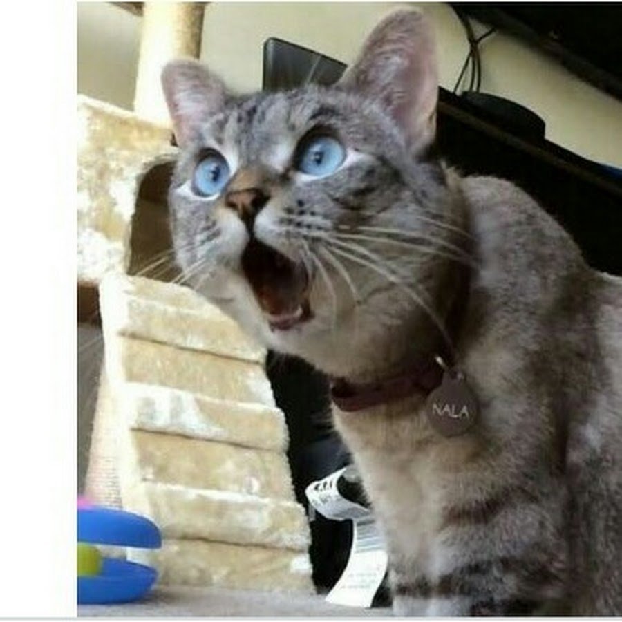 Офигеть картинки прикольные