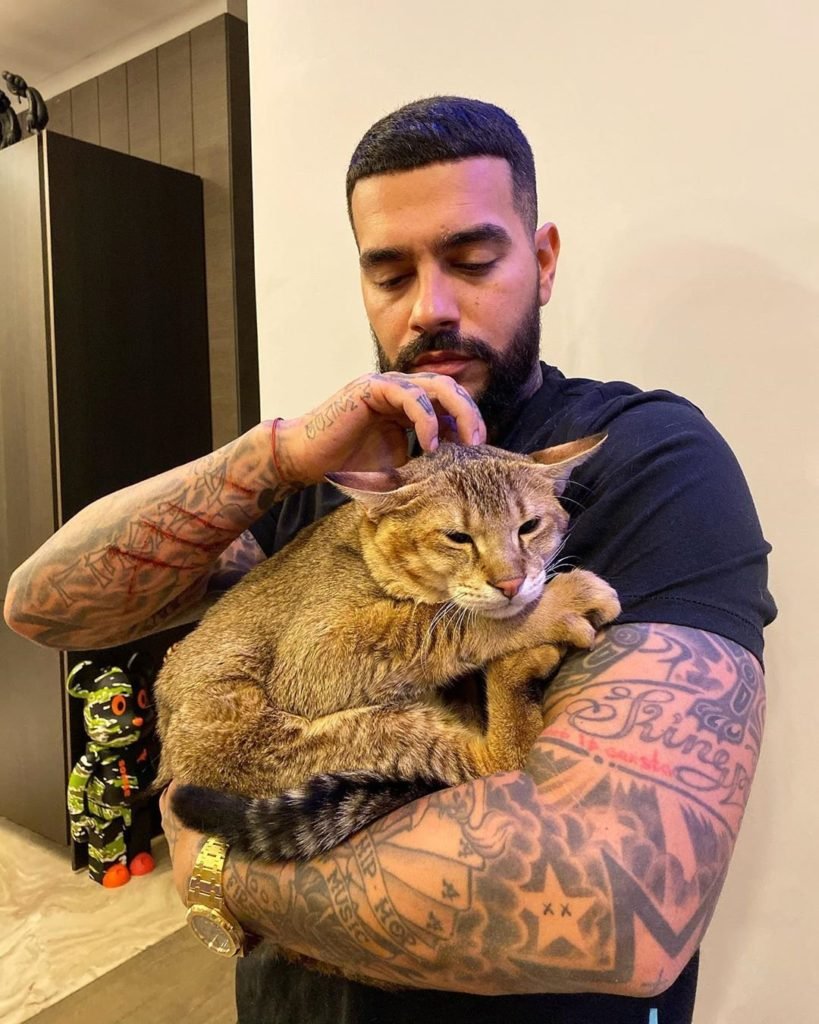 Каракал и каракет