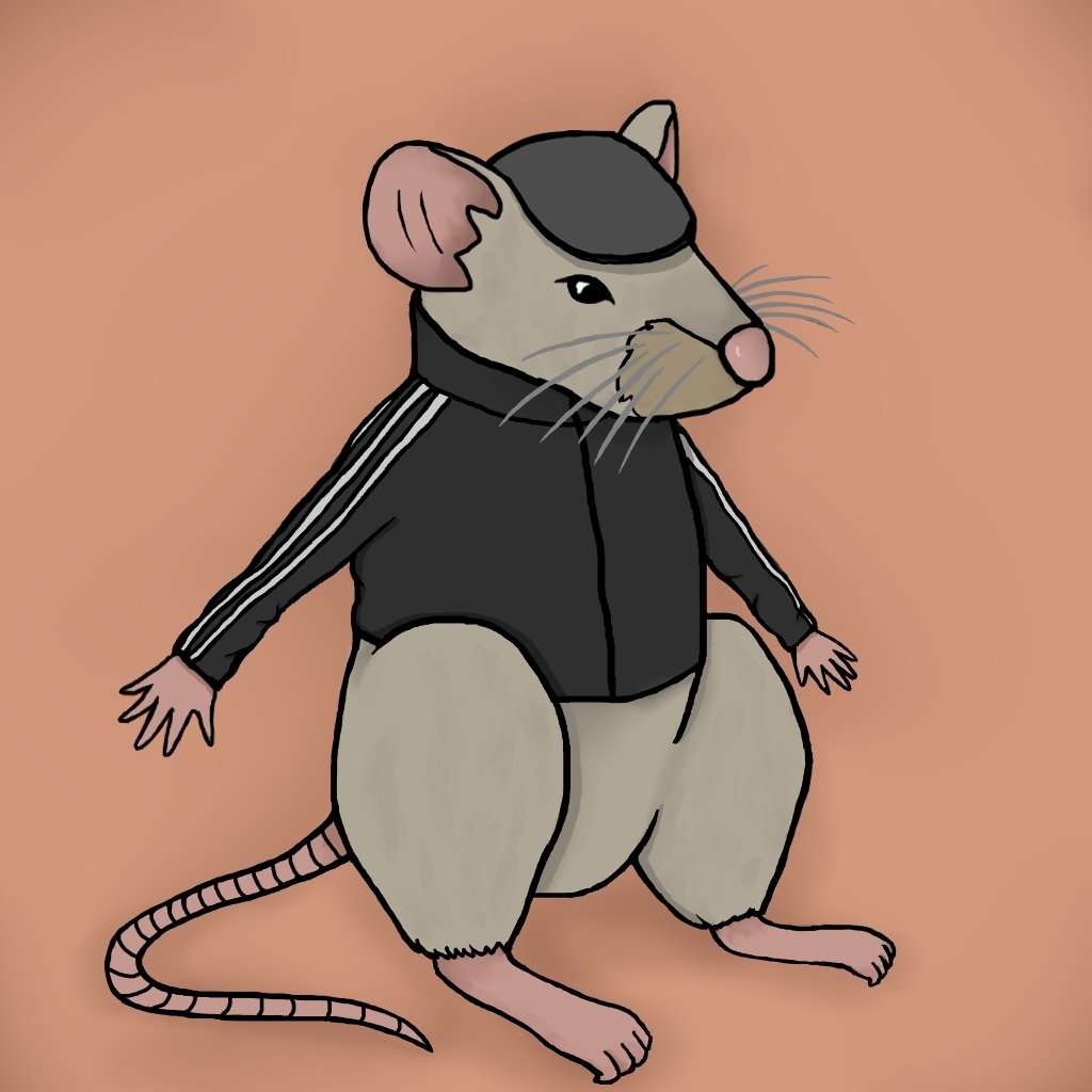 Мышка адидас