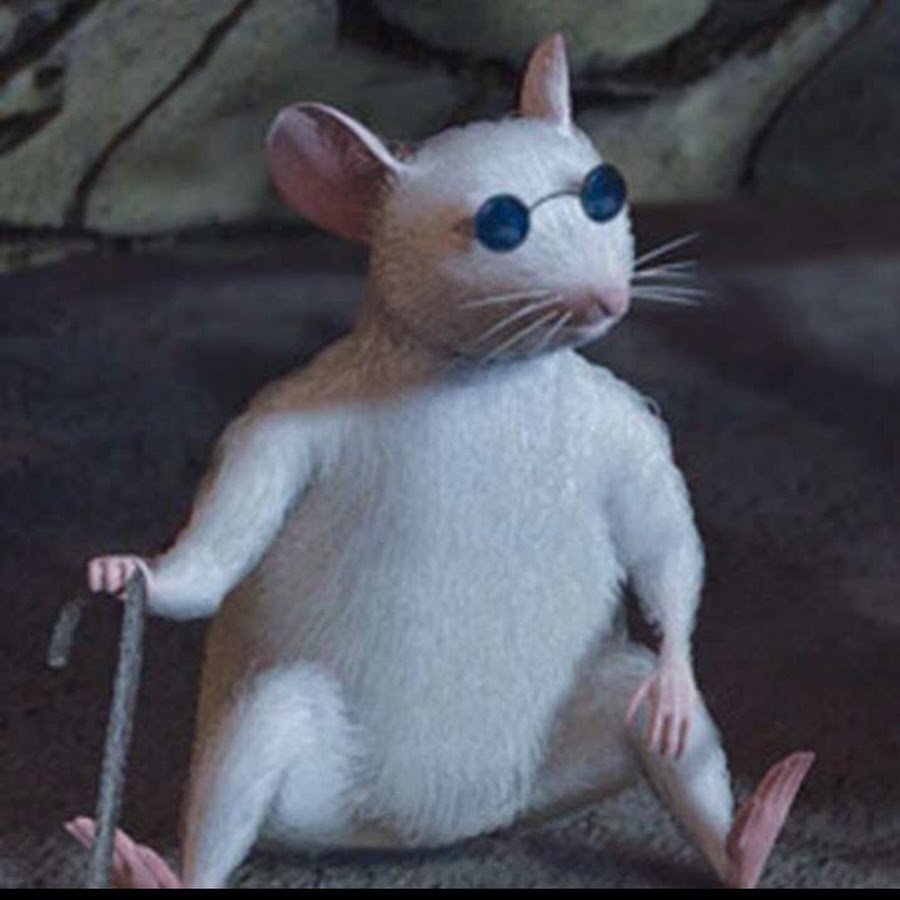 Слепая крыса Шрек