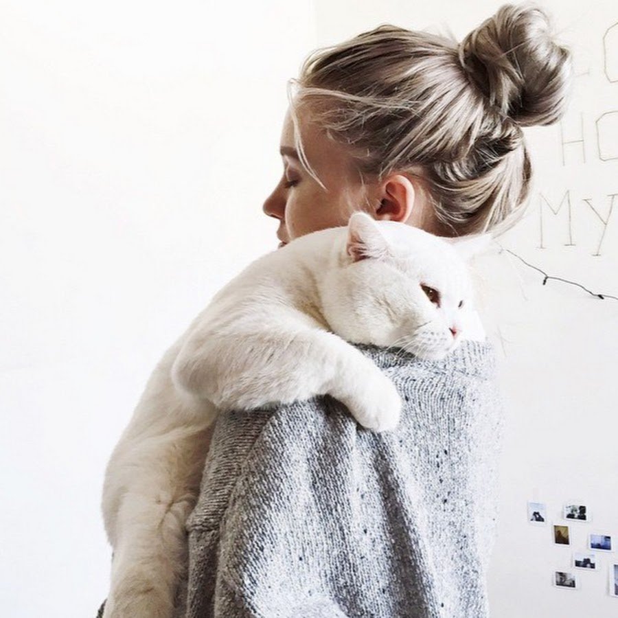 Белый кот Эстетика