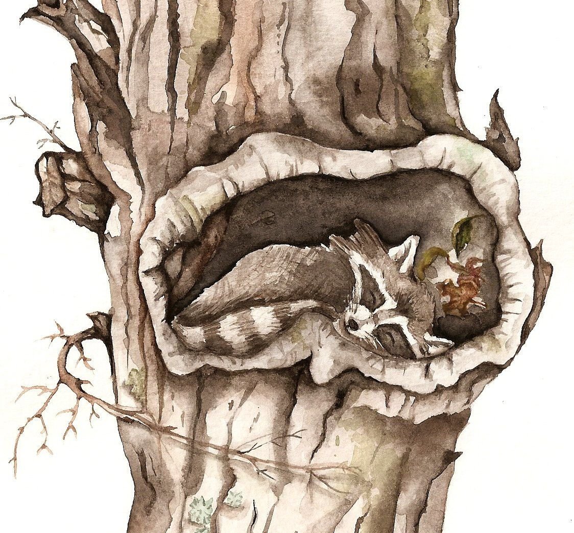 Дерево с дуплом арт